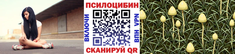 hydra сайт  Кубинка  Псилоцибиновые грибы MAGIC MUSHROOMS 