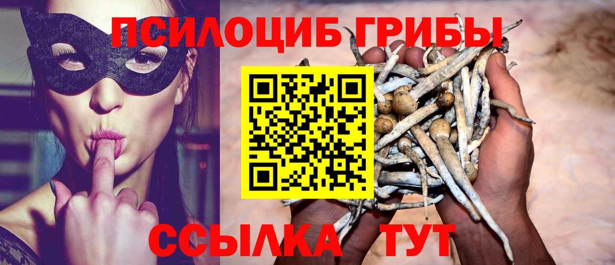 Кубинка  Псилоцибиновые грибы прущие грибы  Вход с VPN 